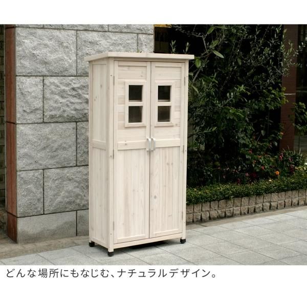 棚