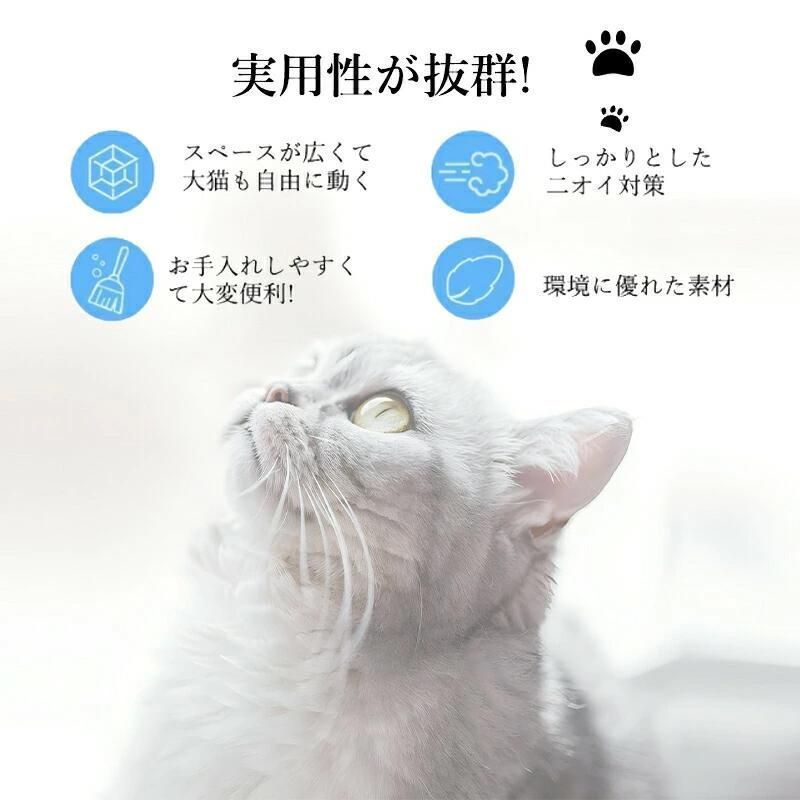 ねこのトイレ ネコ
