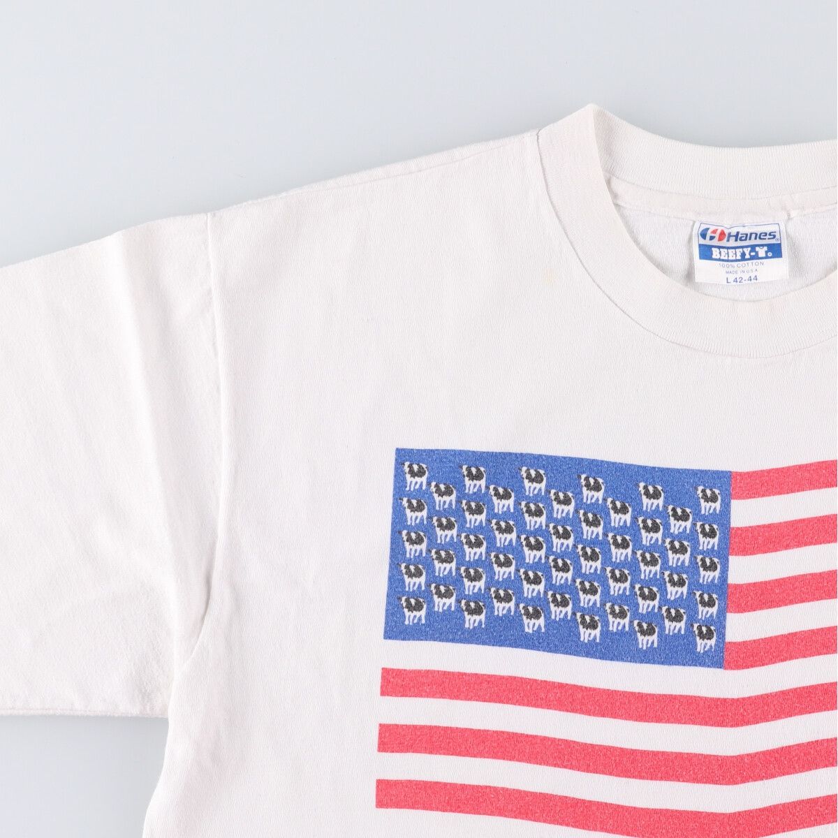 Hanes BEEFY-T
