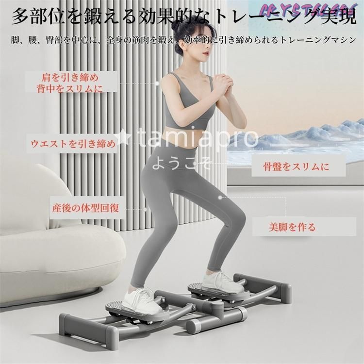 スキーマシン ダイエット