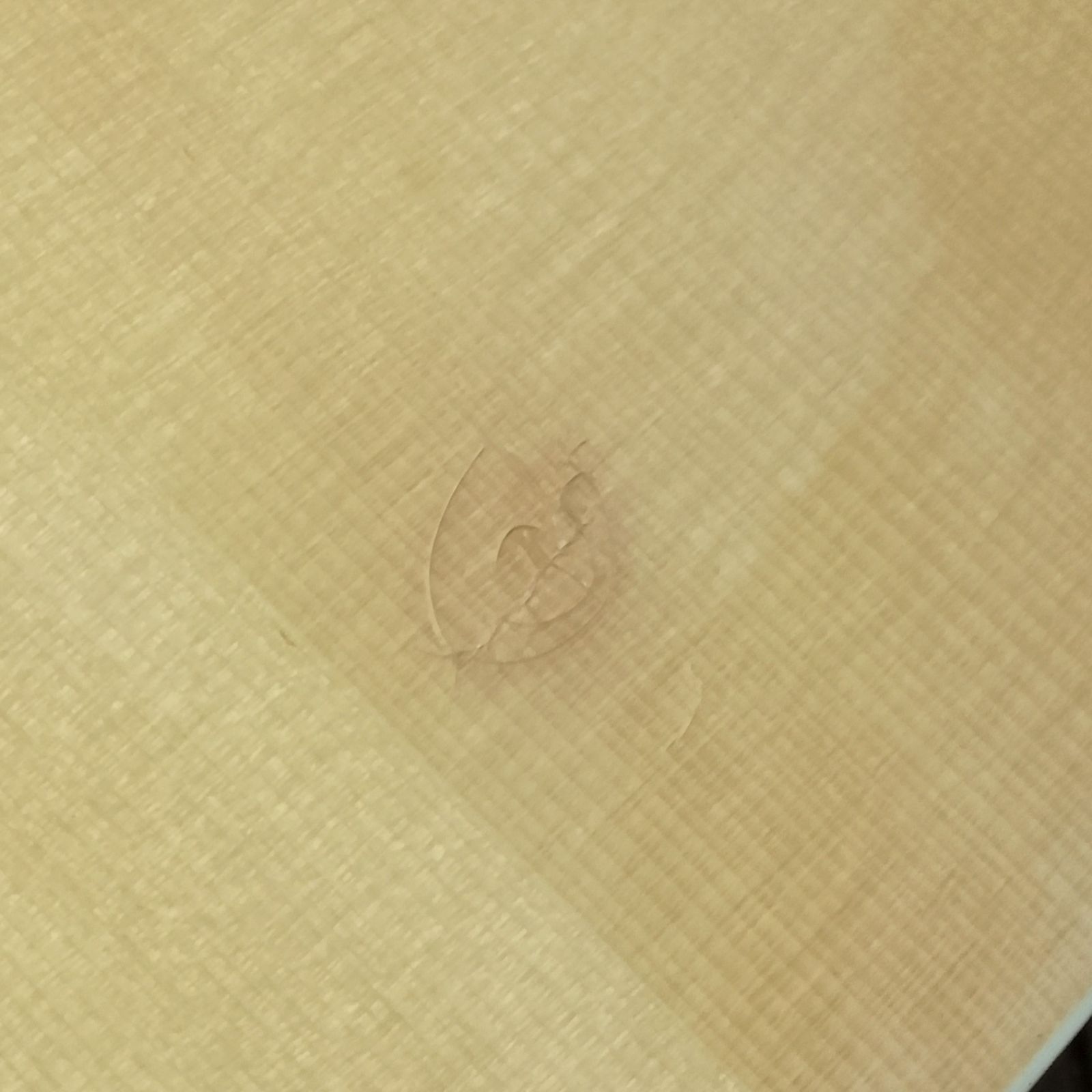 Takamine T-F1 N アコースティックギター 弦は に交換済み UBS-PPNI_AC_ID