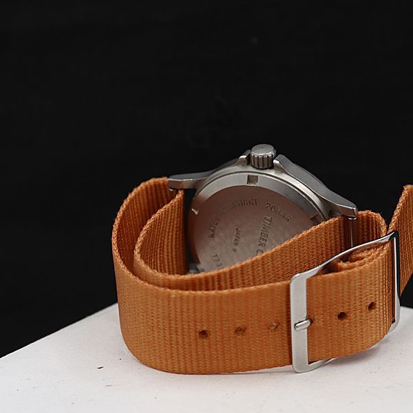 稼働 カシオ ティンバークルーザー TIC-1 QZ デイデイト ブラック文字  