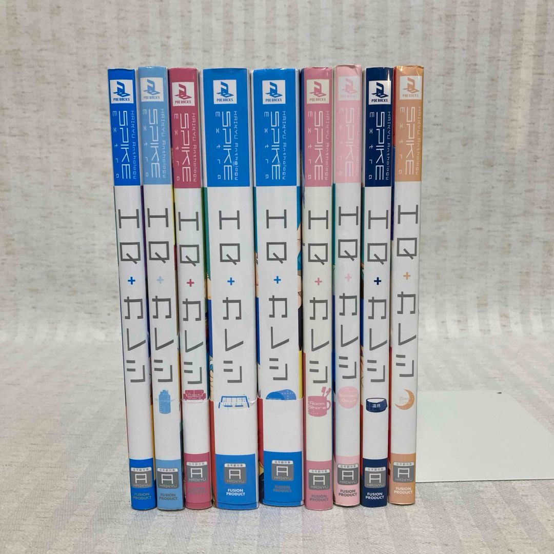 HQカレシ・HQBF HQ+カレシ 25冊 ハイキュー hqカレシ 同人誌 ハイキューカレシ hqbf