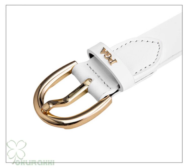 2505gfbelt02*