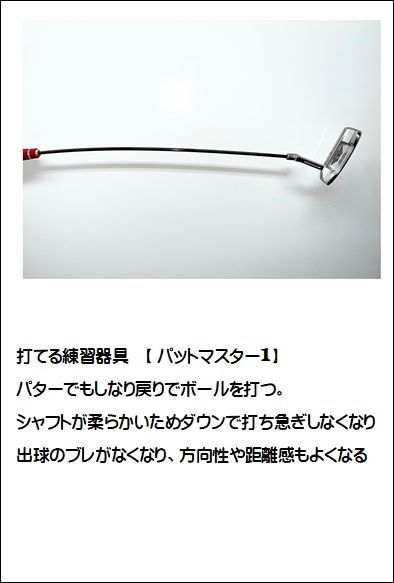 ゴルフ Titleist BDゴルフシャツ ホワイト L(限定版)