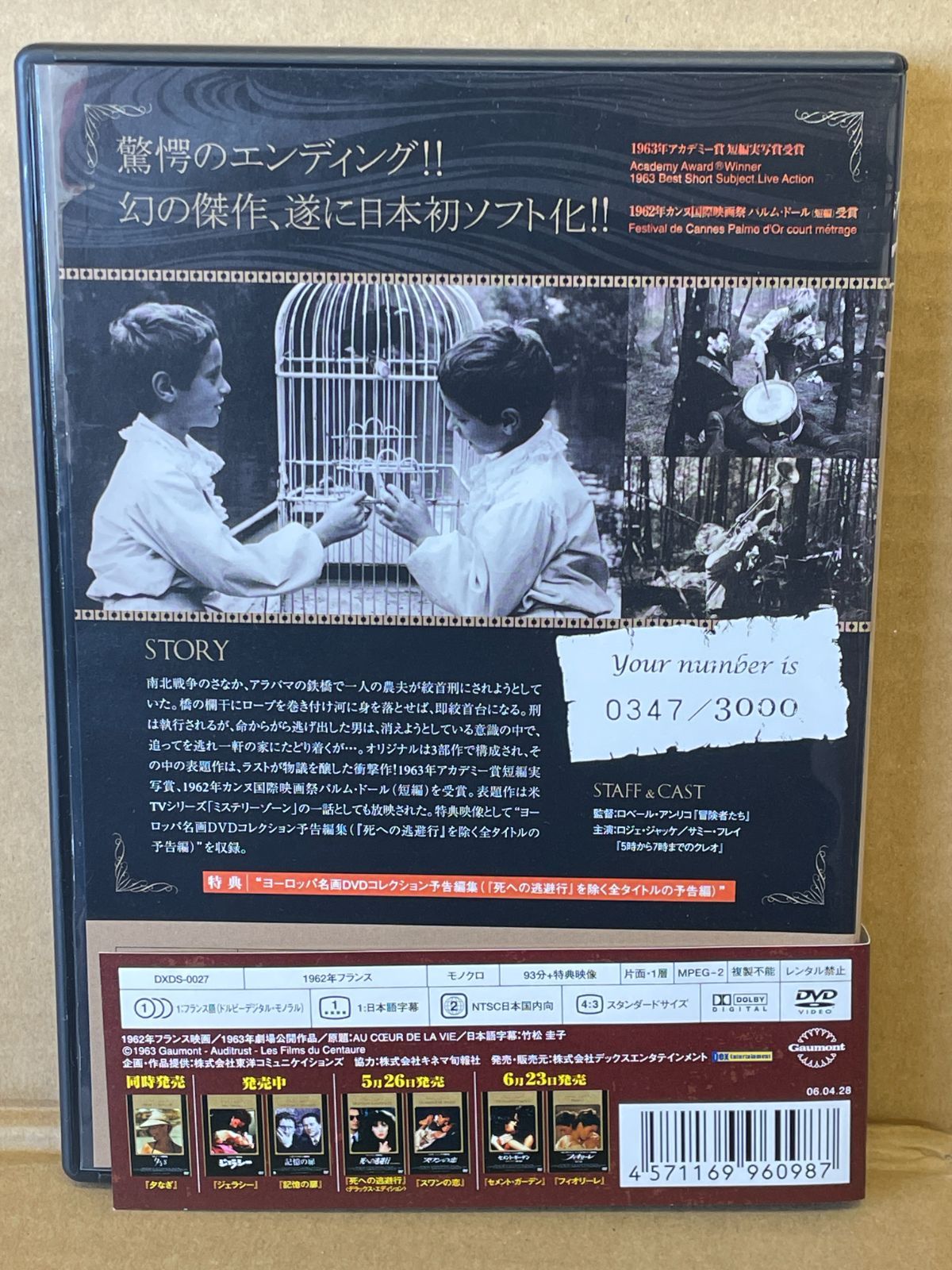 ふくろうの河 廃盤DVD 未開封品 見本版 Yahoo!オークション - DVD