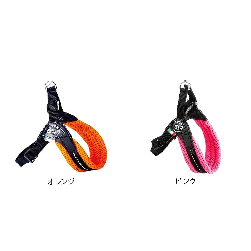 Fibbia adjustable