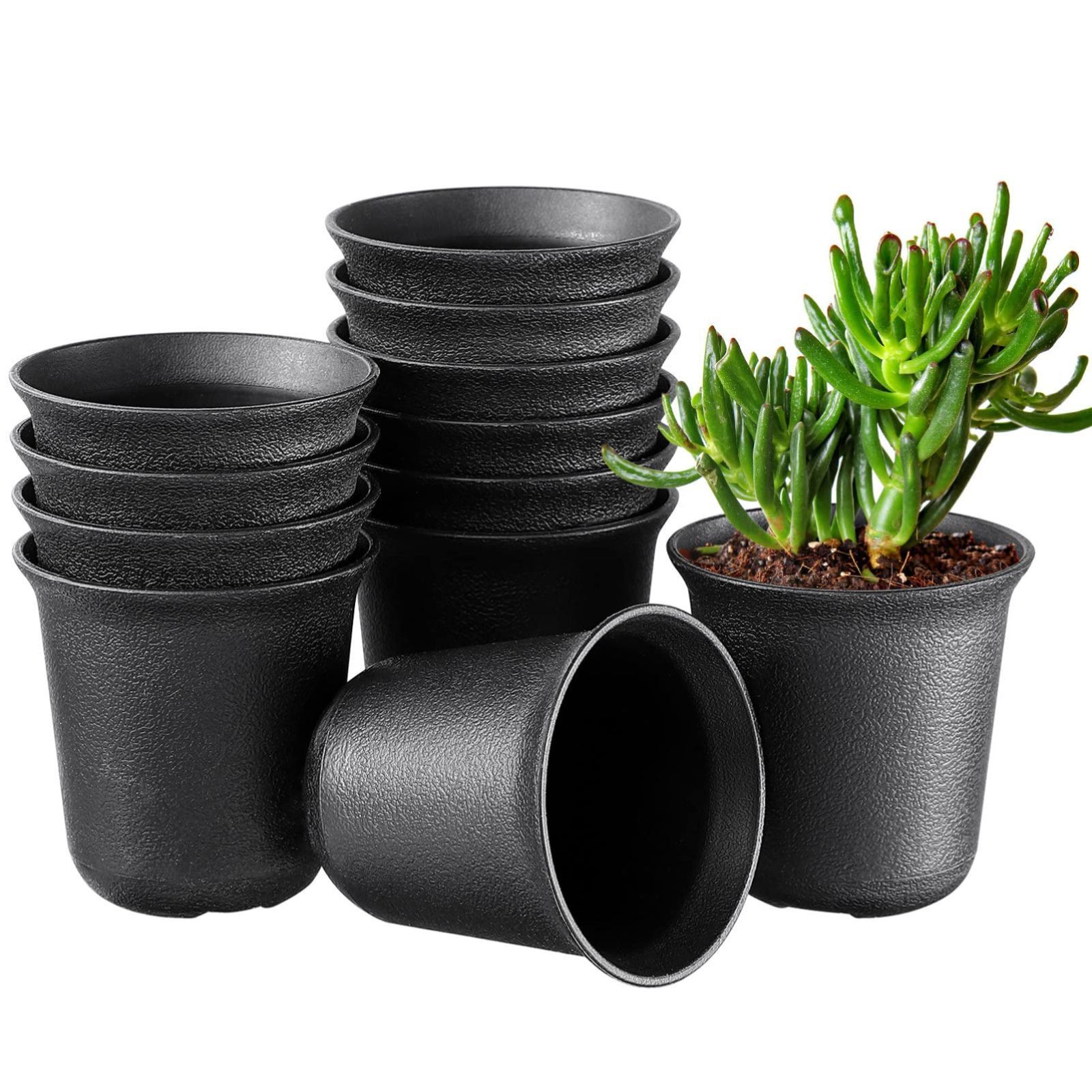 特価セール】6.5cm プラスチック【 黒 植木鉢 ポット 特価セール】6.5cm プラスチック【 黒 植木鉢 ポット