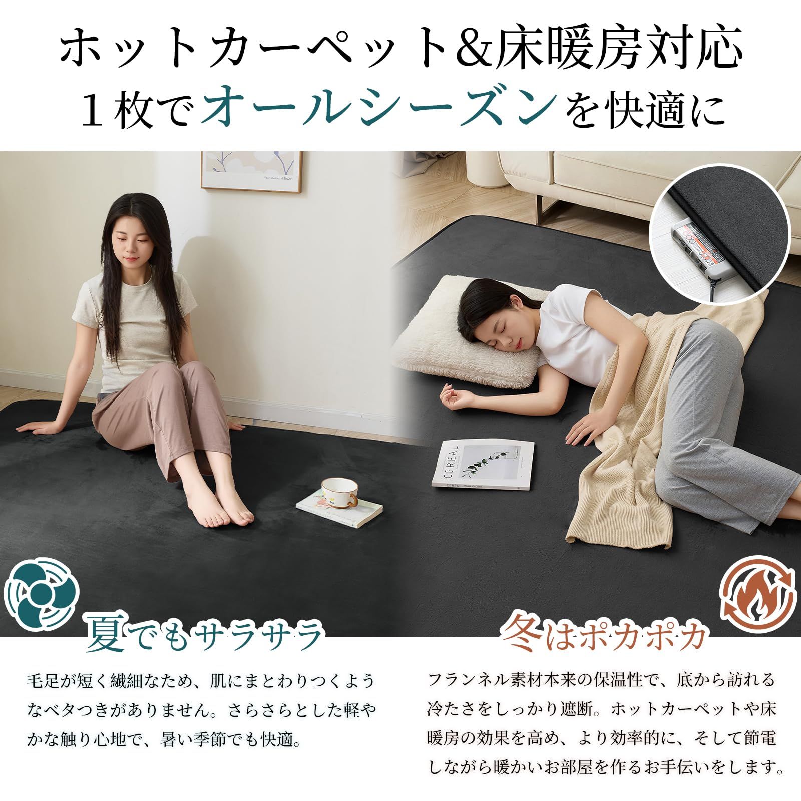 Housecover カーペット ラグ ラグマット滑り止め付 洗える 200×250cm 約3畳 絨毯 防ダニ 抗菌 防臭 オールシーズン快適に使用 床暖房 ホットカーペット対応 ふわふわ肌触り フランネルラグ 無地 ブラック MARWIL-DEMENAGEMENTS_CH