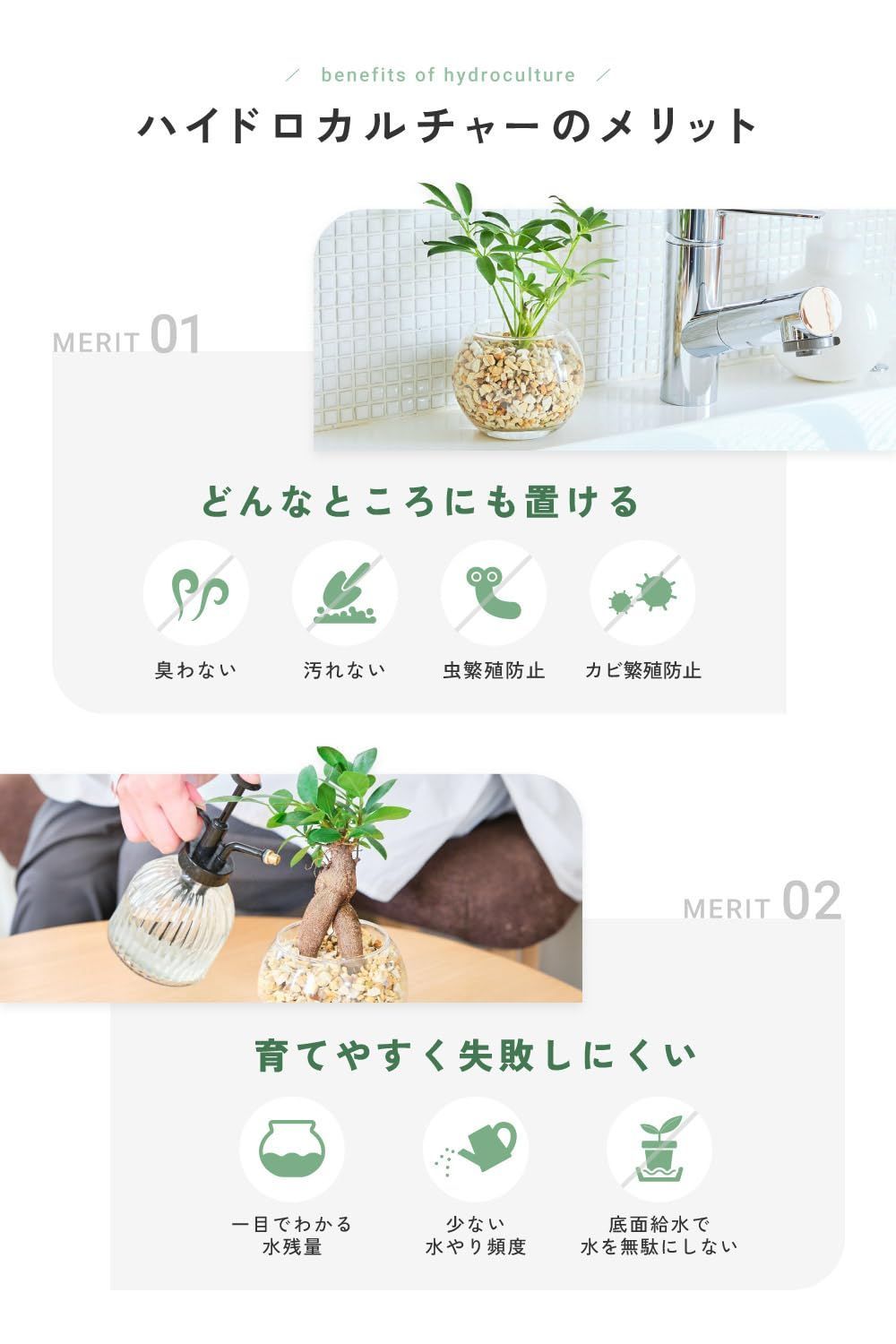 土を使わない観葉植物