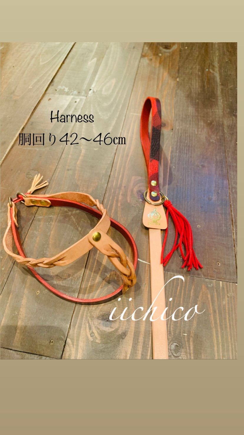 リード＆ハーネス2点SET❗️レッドミニタリー リード＆ハーネス2点SET❗️レッドミニタリー
