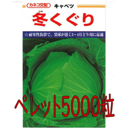 カネコ種苗 冬くぐりキャベツ ペレット５０００粒