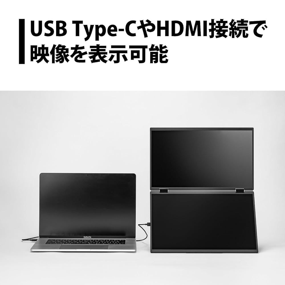 15.6型 2画面