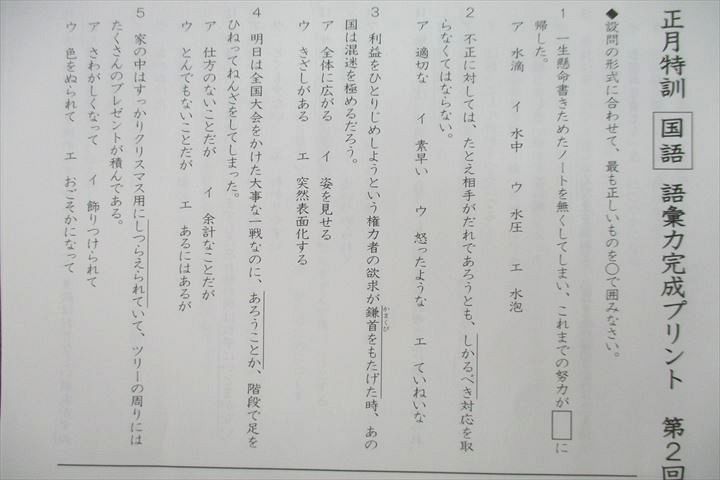 SAPIX SS特訓/正月特訓/冬期講習 国語 語彙力完成プリント テスト計19