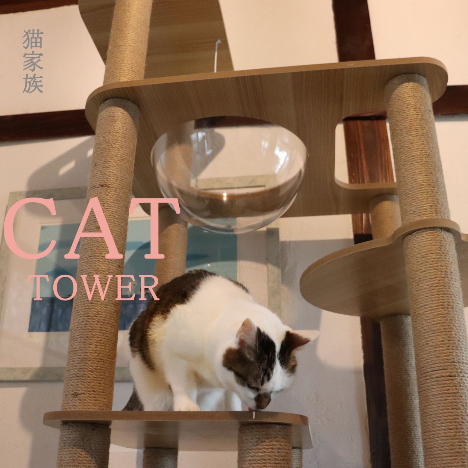 大型猫 据え置き型