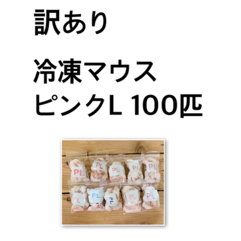 訳あり冷凍マウス 100匹 - 菓子