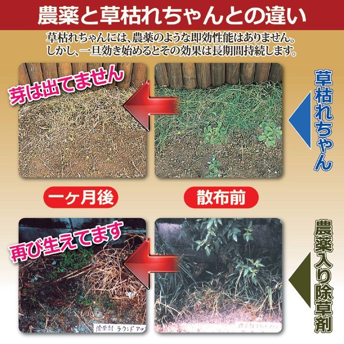 無農薬 除草材