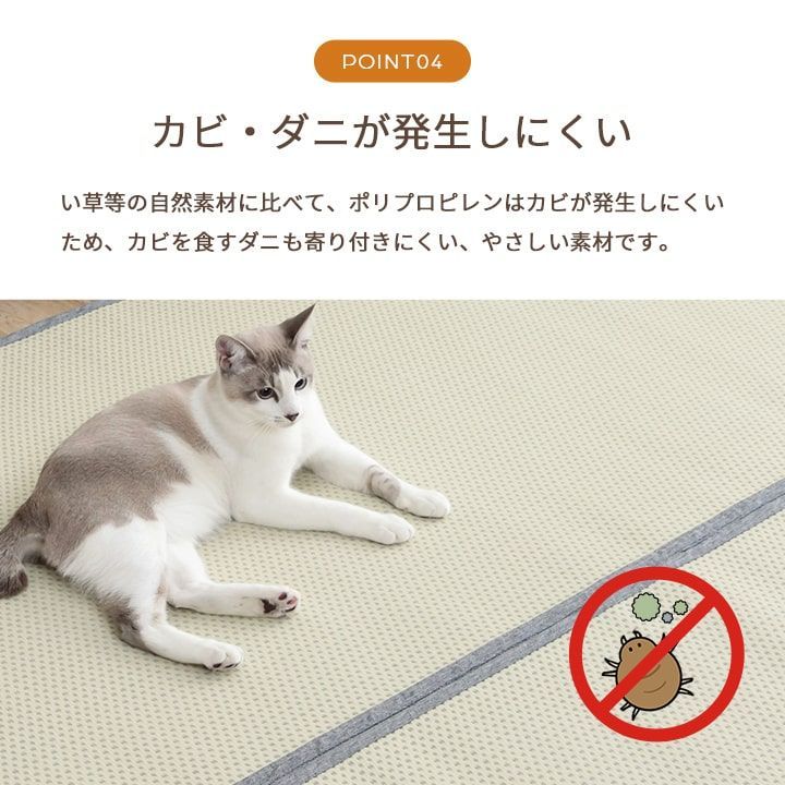 カーペット ミーサ