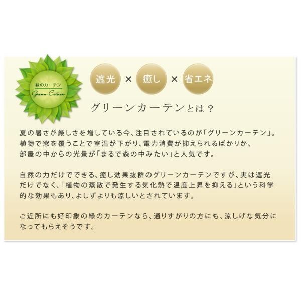 sms-if-gc011blk