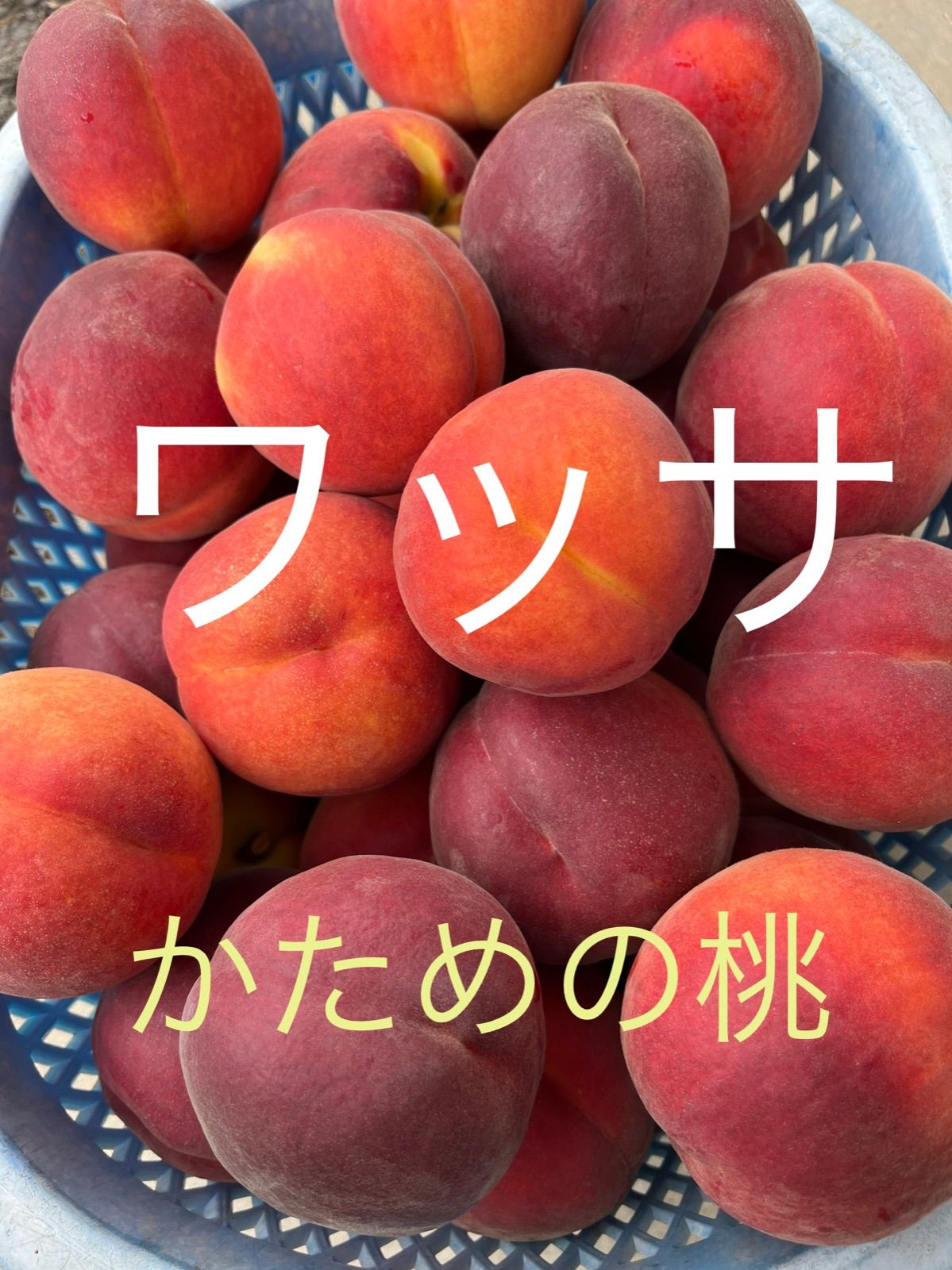 ワッサ 長野県産3.5キロ - メルカリ