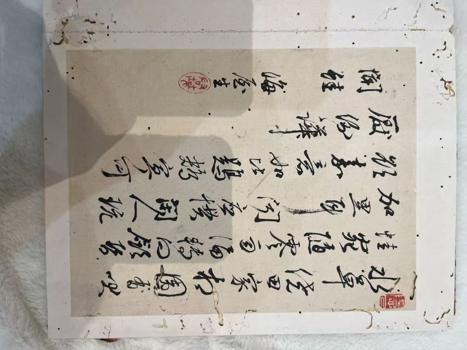 花鳥画 書道作品