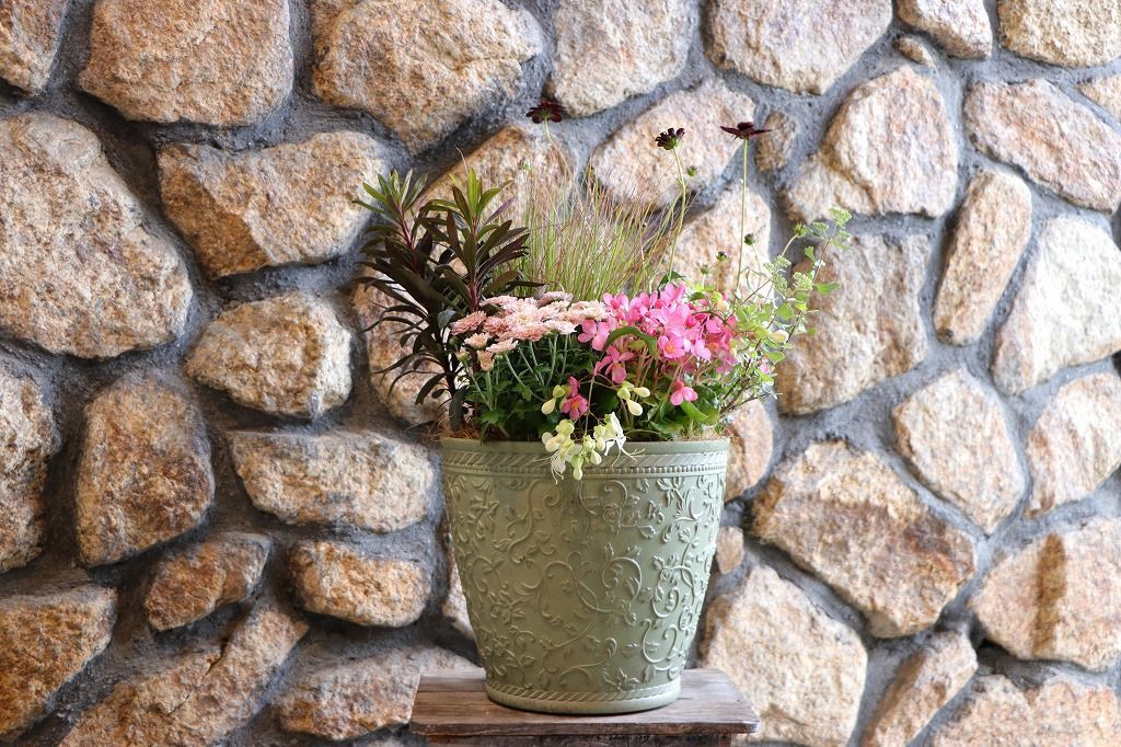 秋の草花のエレガントスタイル寄せ植え 現品１９８
