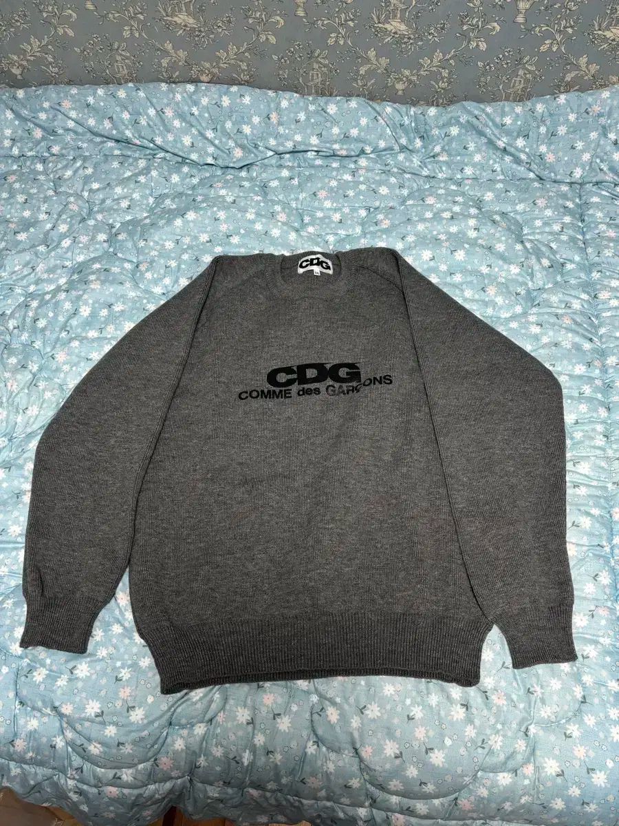 フランス語辞典 6巻 ＋1巻Paul Robert 言語学