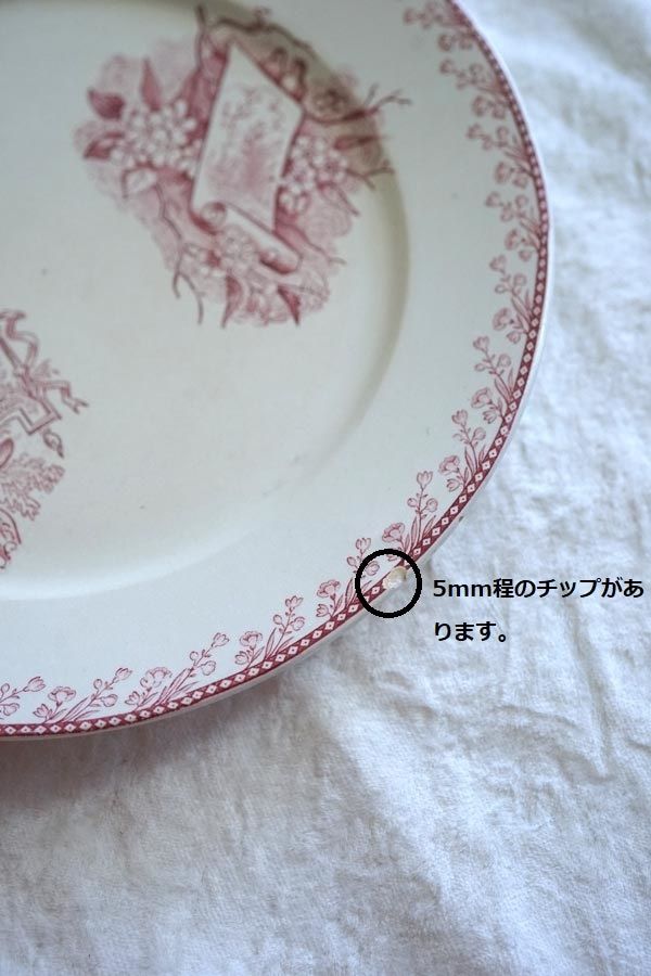 フランスアンティーク ペクソンヌ 鳥 PEXONNE Oiseauxのプレート22.5cm