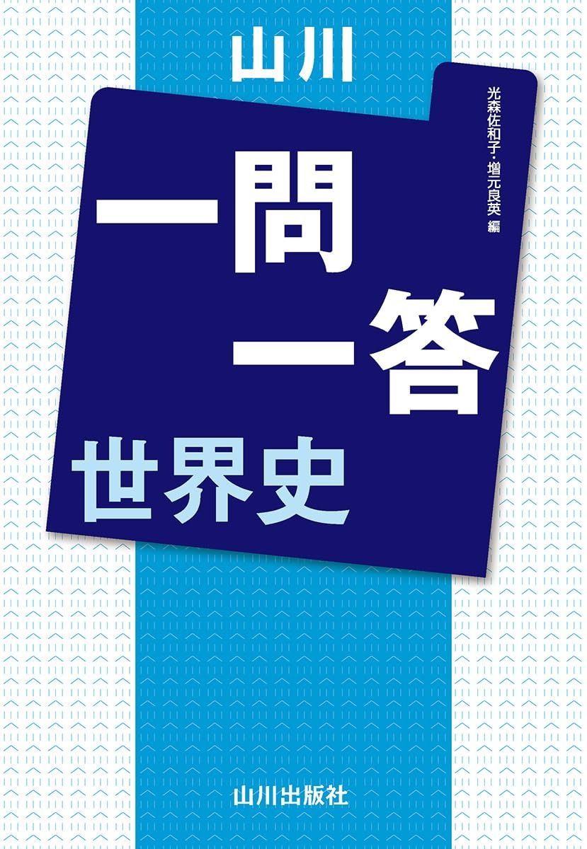 【正規品，人気SALE】 山川一問一答 世界史 その他