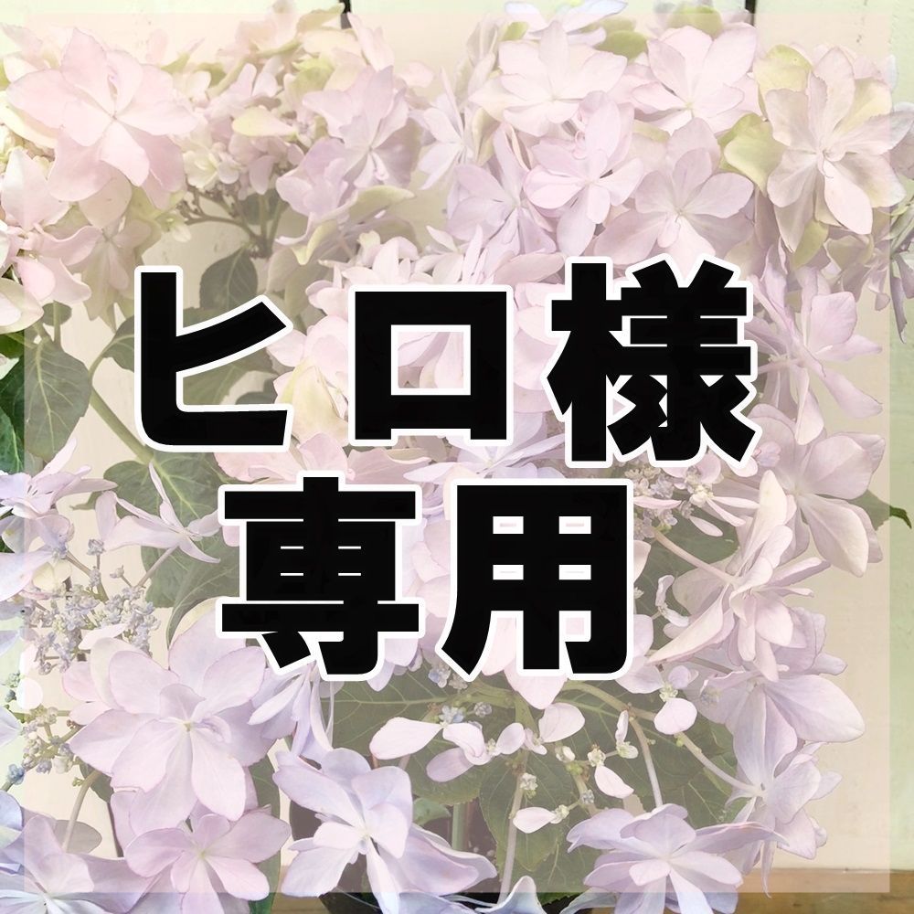 ヒロ様専用ページです⭐︎ Hiro様専用 hiro様 専用ページ hiro様専用