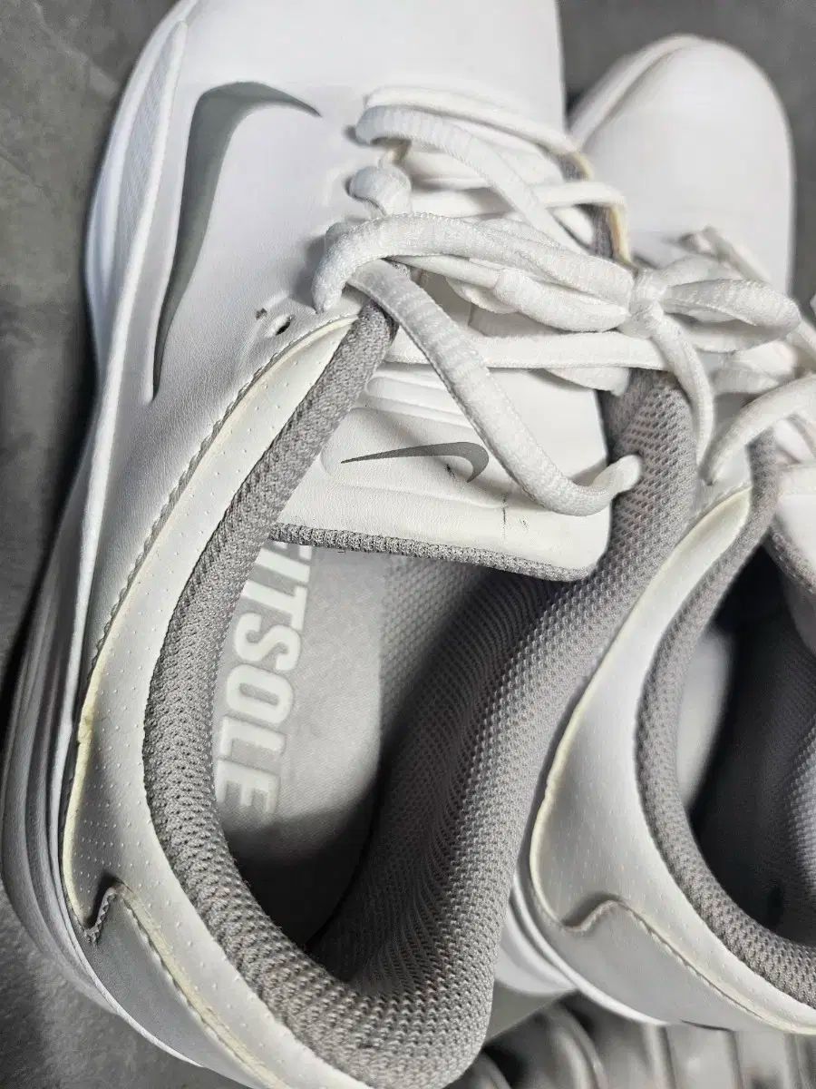 NIKE(ナイキ) ゴルフシューズ 265