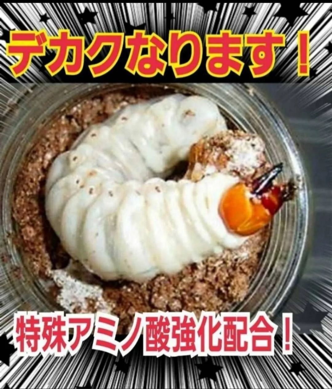 20本セット 特殊アミノ酸強化配合