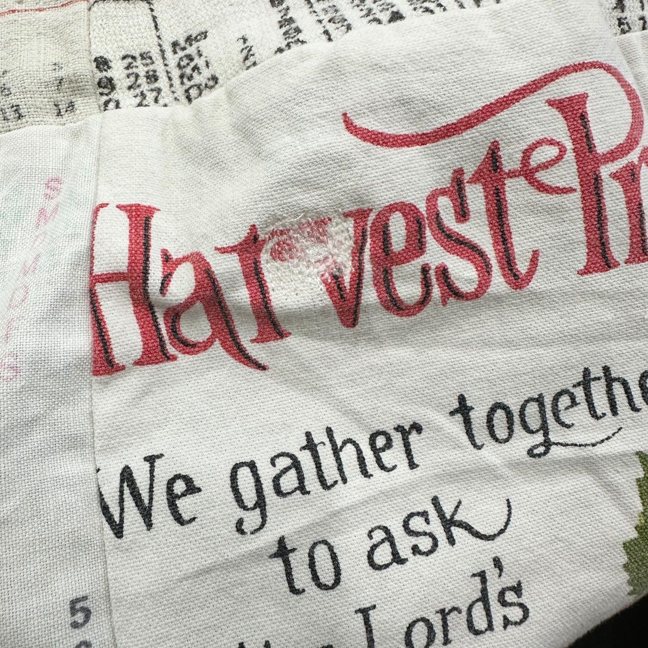 スカート ペナントクロス