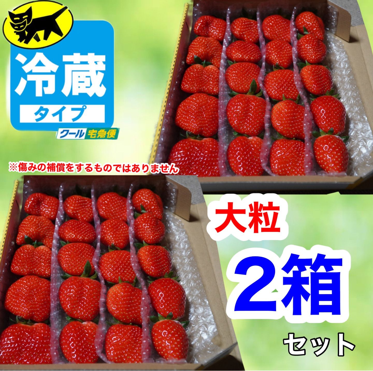 クール②箱大粒 【複数割】愛媛県産新鮮朝採りいちご