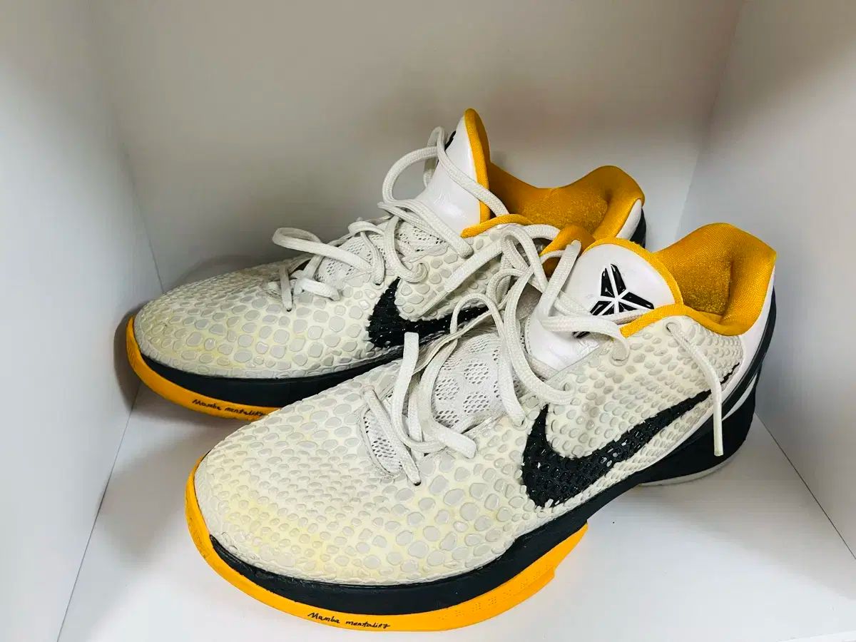 Nike Kobe 6 Protro /