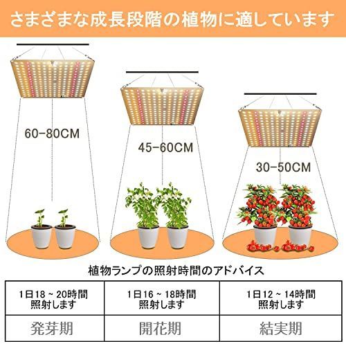 ２個入り⭐️植物育成ライト LED 光 2段階調光 省エネ 室内栽培 家庭