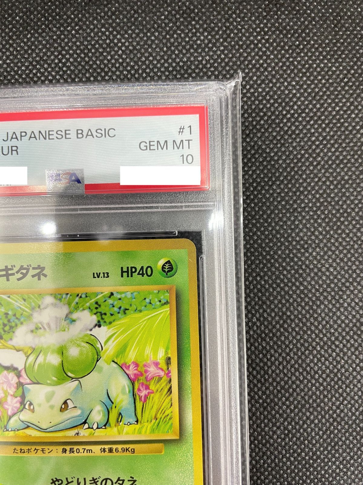 定番在庫PSA9 フシギダネ BULBASAUR 1996 第1弾 ポケモンカード 鑑定品 ポケカ/Pokemon Cards その他