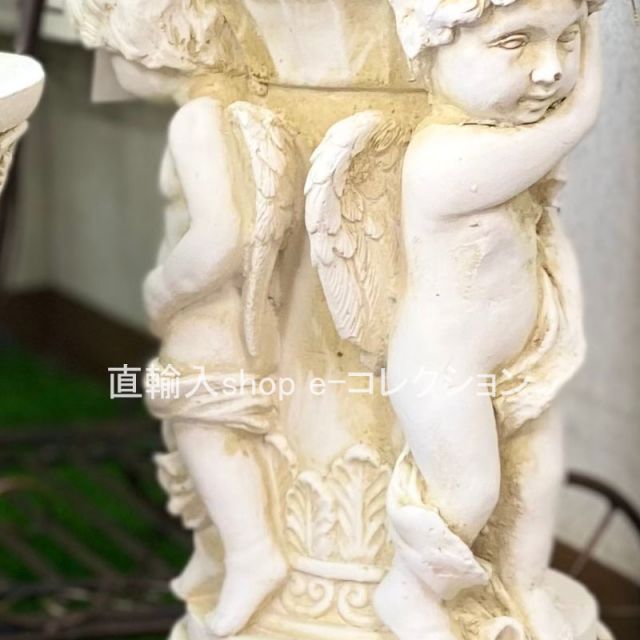 観葉 植物