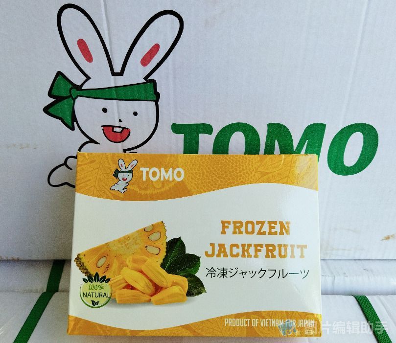 冷凍ジャックフルーツ 500g x 6パック Frozen Jackfruit - 冷凍フルーツ