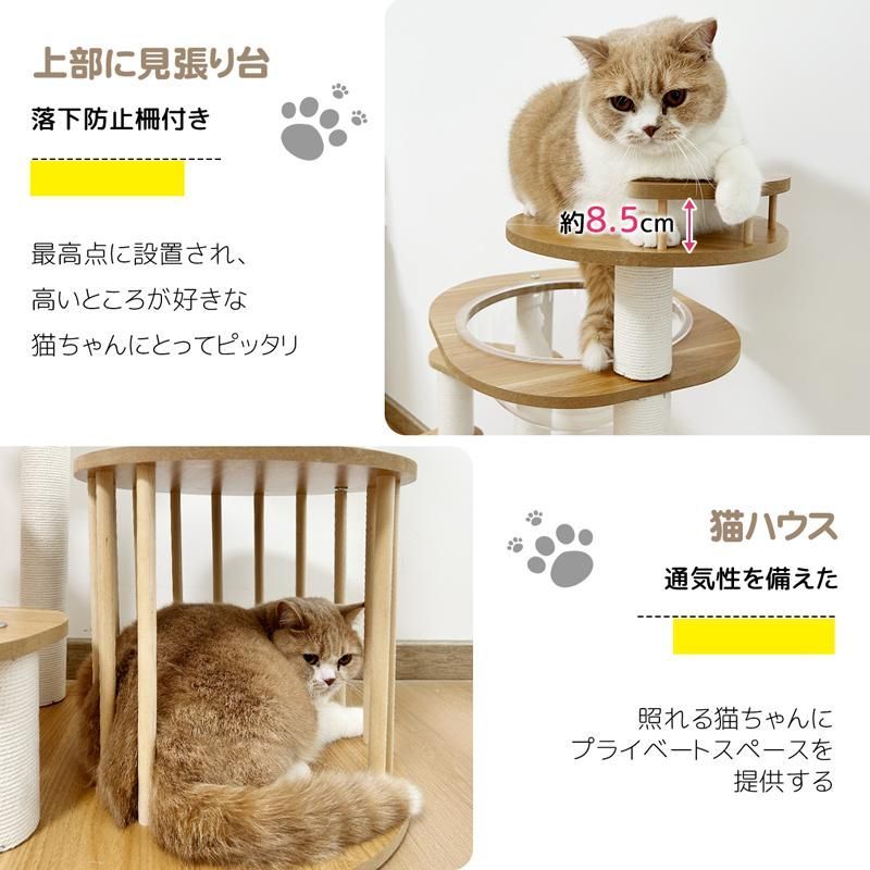 ねこタワー 子猫
