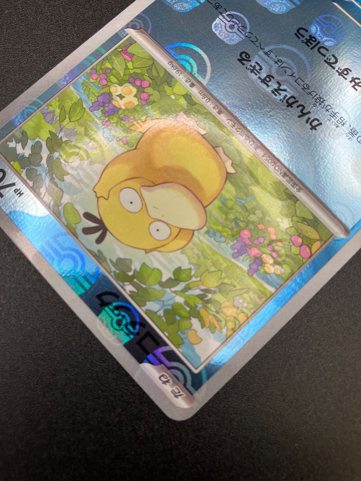 コダック　マスターボールミラー　PSA10 psa10 コダック マスターボールミラー PSA10 コダックPSYDUCK