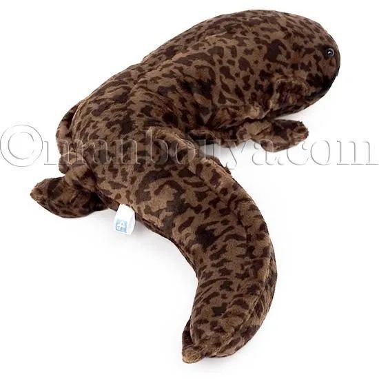 カドリー　大山椒魚　ぬいぐるみ 楽天市場】オオサンショウウオ 大山椒魚 サイズ:63cm ふわふわ