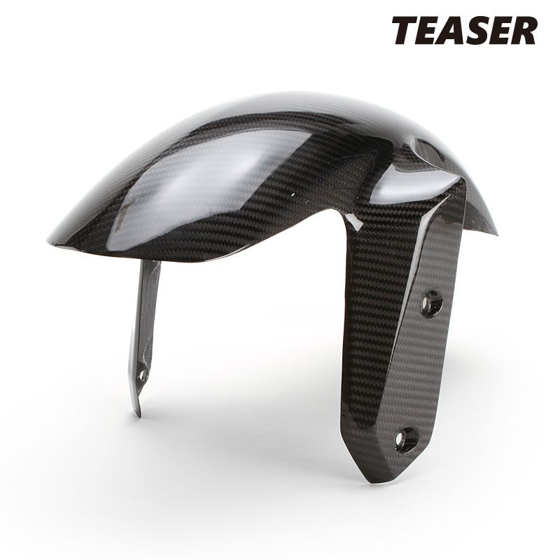 TEASER FFB07G FRONT FENDER 【DRY CARBON HG】 BMW R1250RS (21-23) ティーザー カーボン フロント フェンダー