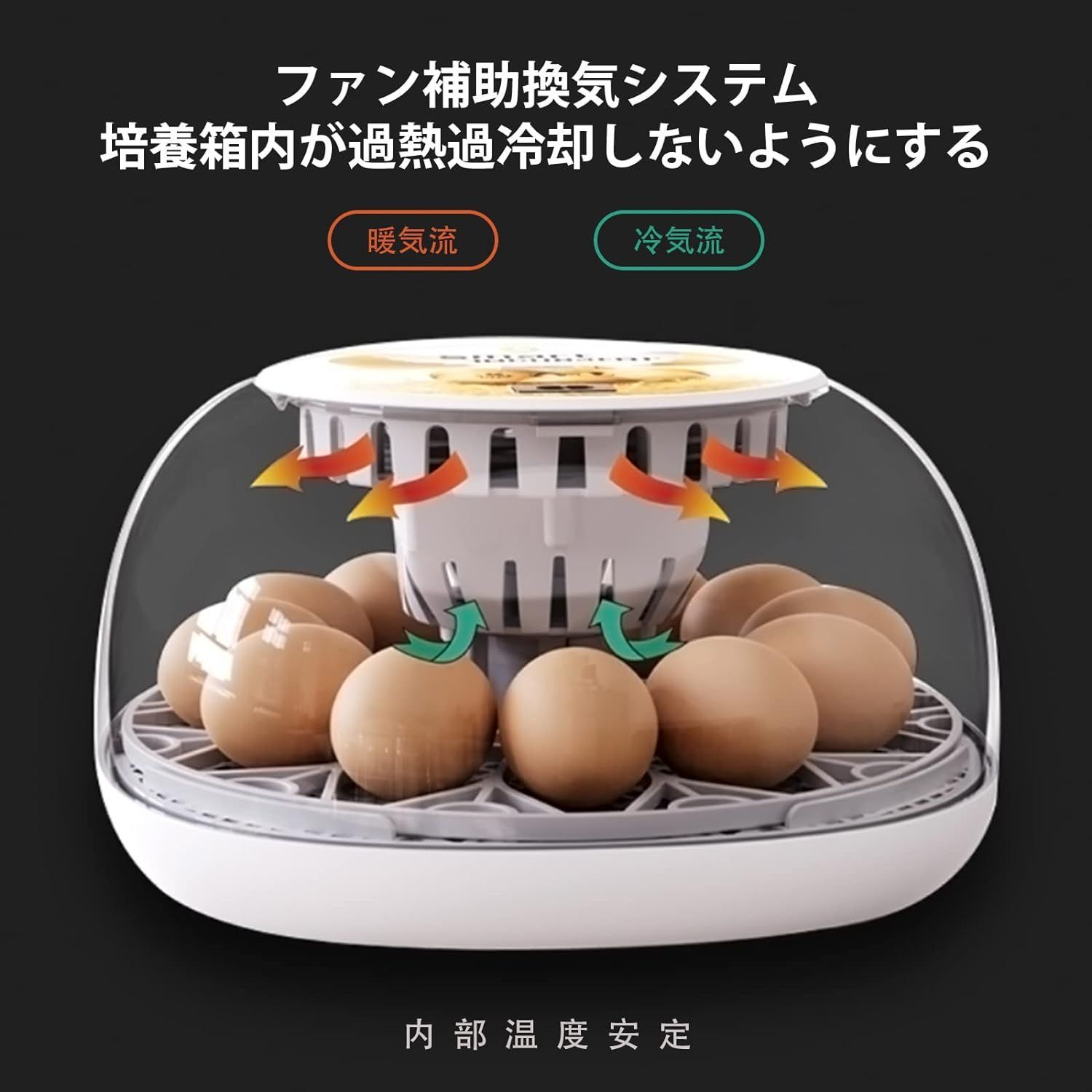 自動孵卵器 インキュベーター 検卵ライト付き 孵卵機 恒温器 12 自動孵卵器 インキュベーター 検卵ライト付き 孵卵機 恒温器 12
