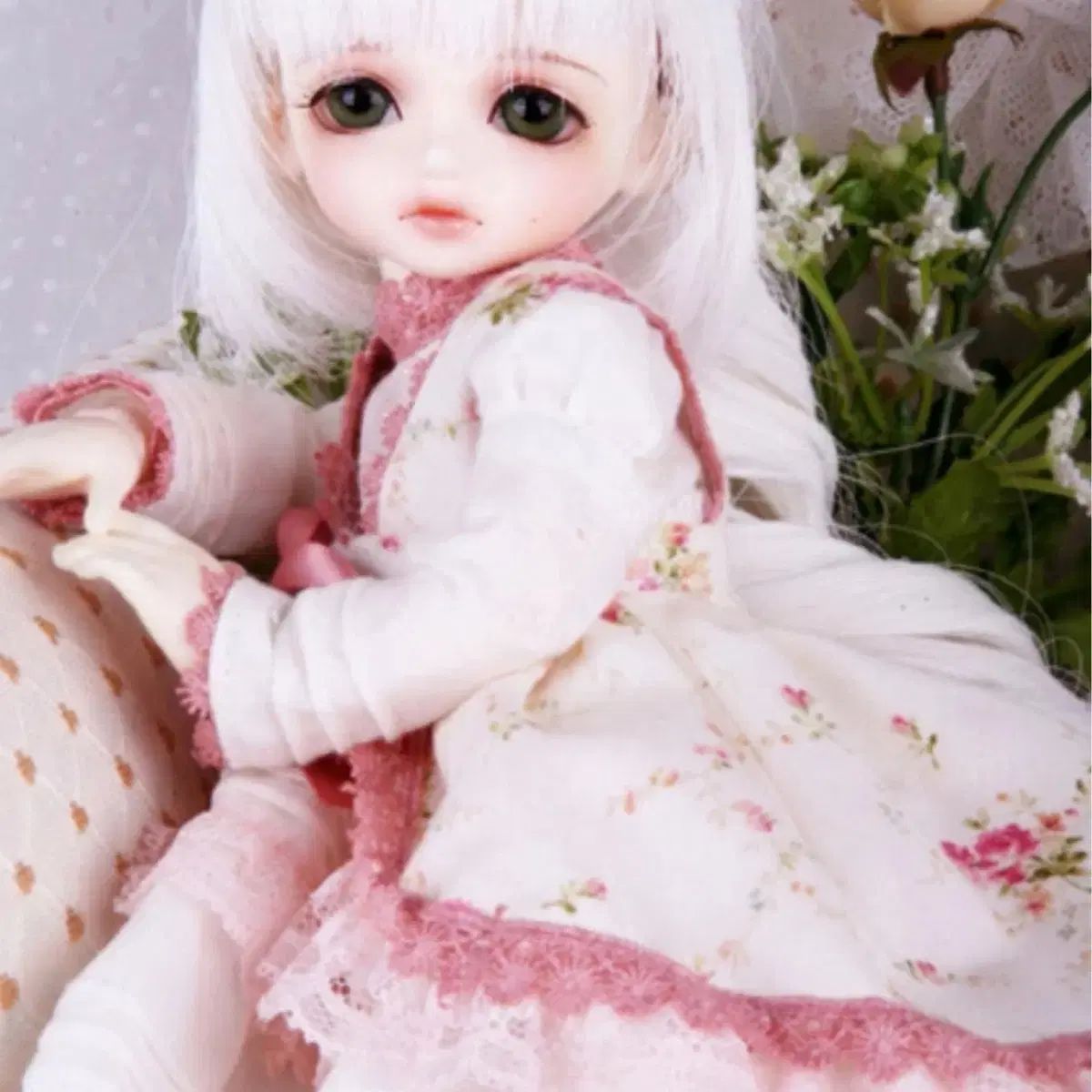 球体関節人形 ルーツ HONEY DELF ピタ