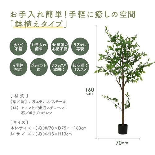 インテリアグリーン