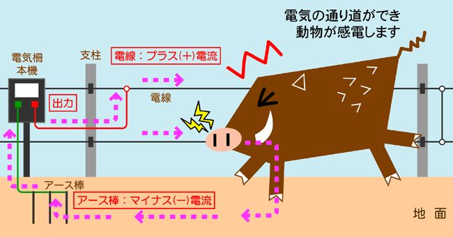 割30% マモル君 電気柵 防獣・害獣 AC100～200V 出力9000V 範囲