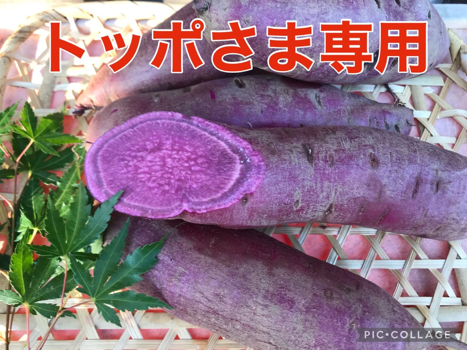 トッポさま専用 ふくむらさき - メルカリ