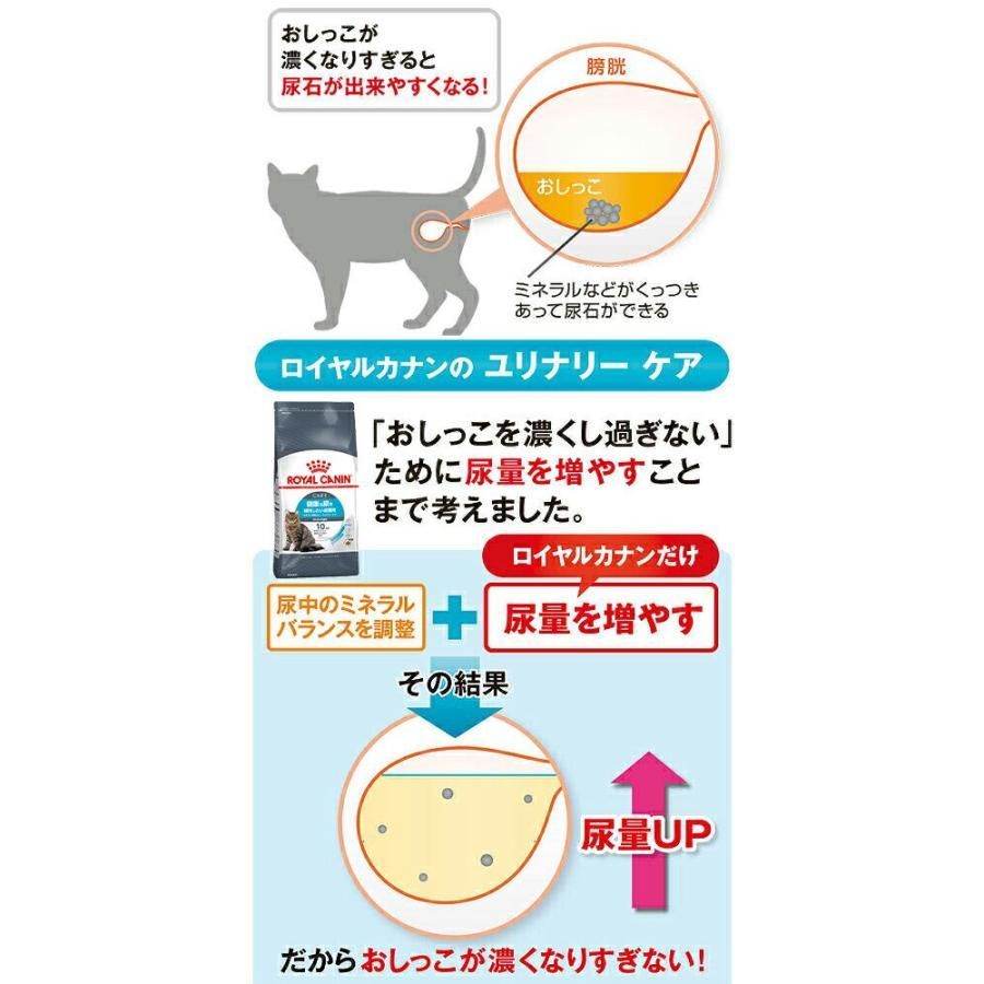 ロイヤルカナン 猫