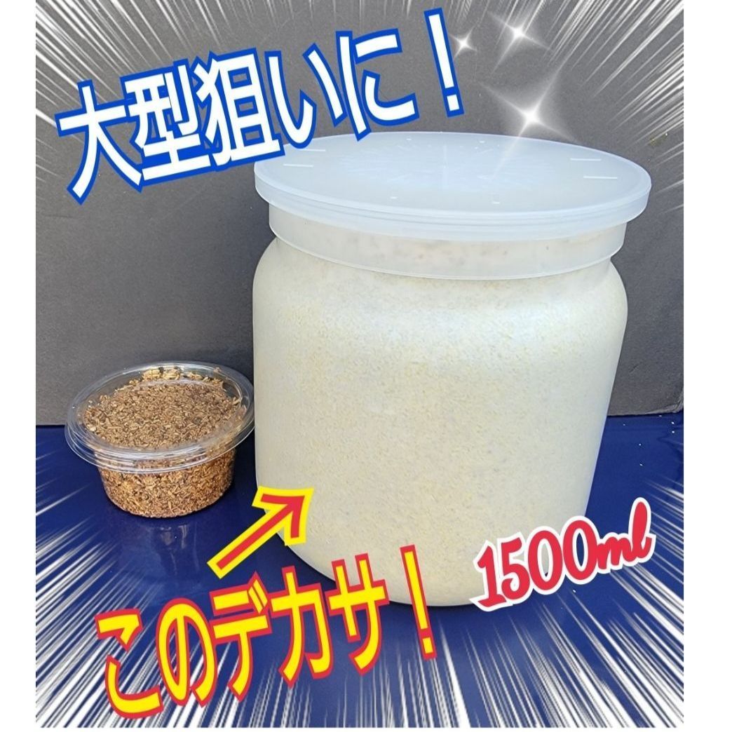 極上！ヒマラヤひらたけ菌糸瓶☆特大1500ml【6本】トレハロース強化配合！ 極上！ヒマラヤひらたけ菌糸瓶☆特大1500ml【6本】トレハロース強化